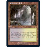 [EX+](旧枠仕様)新緑の地下墓地/Verdant Catacombs《日本語》【MH2】