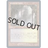 [EX+](FOIL)(旧枠仕様)新緑の地下墓地/Verdant Catacombs《日本語》【MH2】