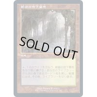 [EX+](FOIL)(旧枠仕様)新緑の地下墓地/Verdant Catacombs《日本語》【MH2】