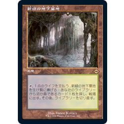 画像1: (エッチングFOIL)(旧枠仕様)新緑の地下墓地/Verdant Catacombs《日本語》【MH2】