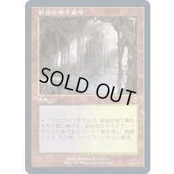 画像1: [EX](FOIL)(旧枠仕様)新緑の地下墓地/Verdant Catacombs《日本語》【MH2】