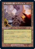 [EX](旧枠仕様)成長の揺り篭、ヤヴィマヤ/Yavimaya, Cradle of Growth《日本語》【MH2】