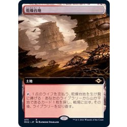 画像1: [EX+](フルアート)乾燥台地/Arid Mesa《日本語》【MH2】