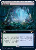 (フルアート)霧深い雨林/Misty Rainforest《日本語》【MH2】