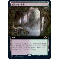 (FOIL)(フルアート)新緑の地下墓地/Verdant Catacombs《日本語》【MH2】