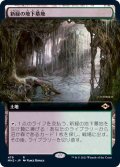 [EX+](フルアート)新緑の地下墓地/Verdant Catacombs《日本語》【MH2】