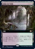 (フルアート)新緑の地下墓地/Verdant Catacombs《日本語》【MH2】