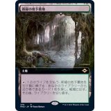 [EX+](フルアート)新緑の地下墓地/Verdant Catacombs《日本語》【MH2】