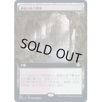 [EX+](フルアート)新緑の地下墓地/Verdant Catacombs《日本語》【MH2】