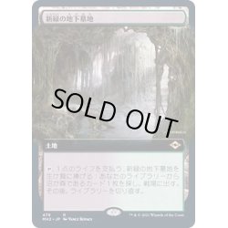 画像1: [EX+](FOIL)(フルアート)新緑の地下墓地/Verdant Catacombs《日本語》【MH2】