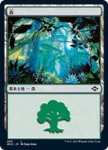 (エッチングFOIL)(490)森/Forest《日本語》【MH2】
