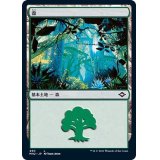 (エッチングFOIL)(490)森/Forest《日本語》【MH2】