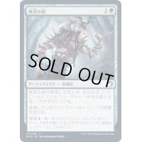 (FOIL)棘茨の鎧/Bramble Armor《日本語》【MID】