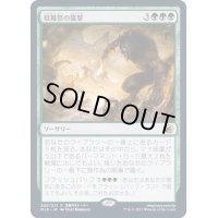 [EX+]収穫祭の襲撃/Storm the Festival《日本語》【MID】
