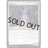 (FOIL)肉削ぎ屋/Fleshtaker《日本語》【MID】