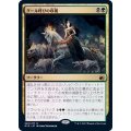 (FOIL)グール呼びの収穫/Ghoulcaller's Harvest《日本語》【MID】