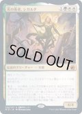 (FOIL)光の勇者、シガルダ/Sigarda, Champion of Light《日本語》【MID】