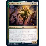 [EX+]光の勇者、シガルダ/Sigarda, Champion of Light《日本語》【MID】