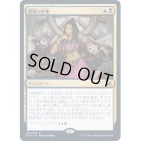 (FOIL)眼識の収集/Siphon Insight《日本語》【MID】