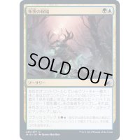 (FOIL)冬茨の祝福/Winterthorn Blessing《日本語》【MID】