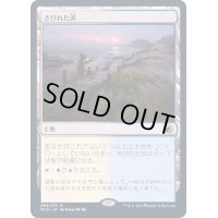 (FOIL)さびれた浜/Deserted Beach《日本語》【MID】