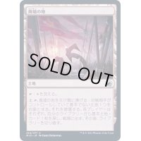 (FOIL)廃墟の地/Field of Ruin《日本語》【MID】