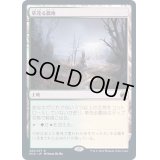 [PLD]草茂る農地/Overgrown Farmland《日本語》【MID】