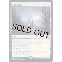 [PLD]草茂る農地/Overgrown Farmland《日本語》【MID】