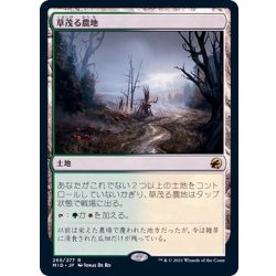 画像1: 草茂る農地/Overgrown Farmland《日本語》【MID】