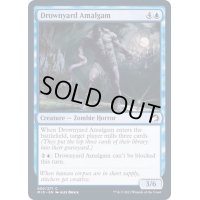 (FOIL)溺墓の融合体/Drownyard Amalgam《英語》【MID】