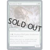 (FOIL)伝染病の狼/Pestilent Wolf《英語》【MID】