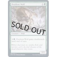 (FOIL)伝染病の狼/Pestilent Wolf《英語》【MID】