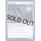 (FOIL)溺墓の融合体/Drownyard Amalgam《日本語》【MID】