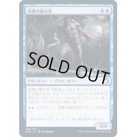 (FOIL)溺墓の融合体/Drownyard Amalgam《日本語》【MID】