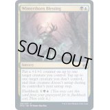 (FOIL)冬茨の祝福/Winterthorn Blessing《英語》【MID】