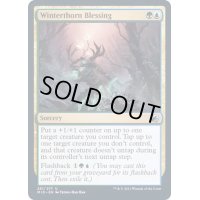 (FOIL)冬茨の祝福/Winterthorn Blessing《英語》【MID】