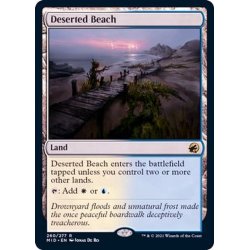 画像1: (FOIL)さびれた浜/Deserted Beach《英語》【MID】