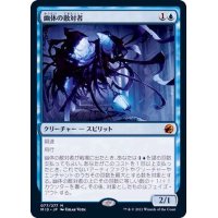 (FOIL)幽体の敵対者/Spectral Adversary《日本語》【MID】