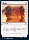[EX+]剣を鍬に/Swords to Plowshares《日本語》【MIC】