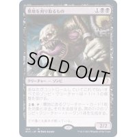 [EX+]墓地を刈り取るもの/Cemetery Reaper《日本語》【MIC】