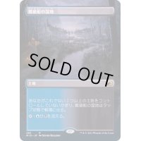 [EX](FOIL)(フルアート)難破船の湿地/Shipwreck Marsh《日本語》【MID】