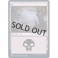 (FOIL)(382)沼/Swamp《日本語》【MID】