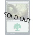 (FOIL)(384)森/Forest《日本語》【MID】