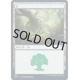 (FOIL)(384)森/Forest《日本語》【MID】