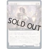 (FOIL)(フルアート)日金の歩哨/Sungold Sentinel《日本語》【MID】