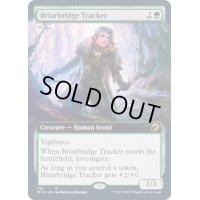 (FOIL)(フルアート)茨橋の追跡者/Briarbridge Tracker《英語》【MID】