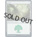 (FOIL)(384)森/Forest《英語》【MID】