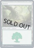 (FOIL)(384)森/Forest《英語》【MID】