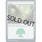 (FOIL)(384)森/Forest《英語》【MID】
