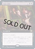 (FOIL)(フルアート)血統の選別/Bloodline Culling《日本語》【MID】